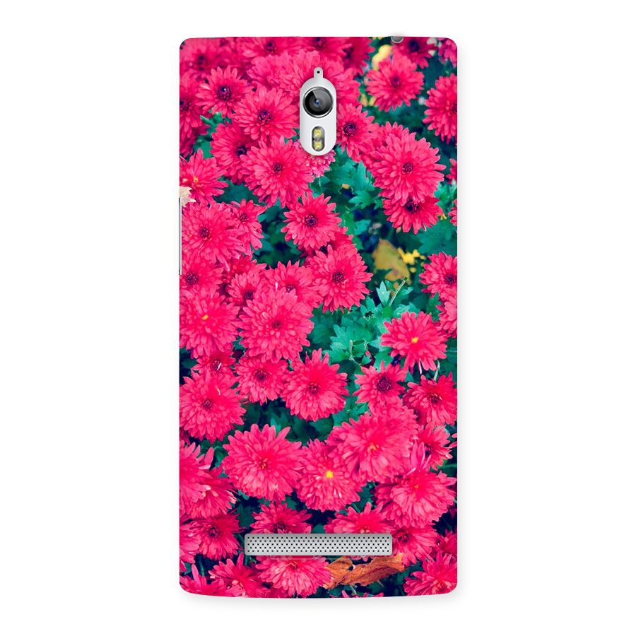 Pink Flowers Back Case for Oppo Find 7