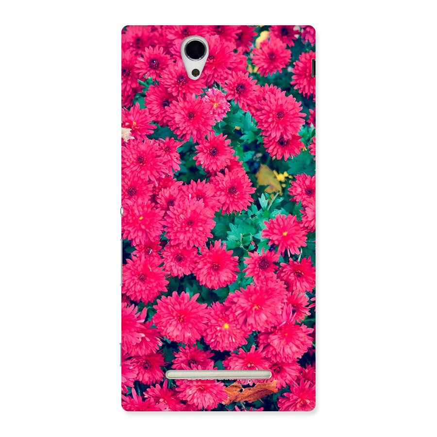 Pink Flowers Back Case for Sony Xperia C3