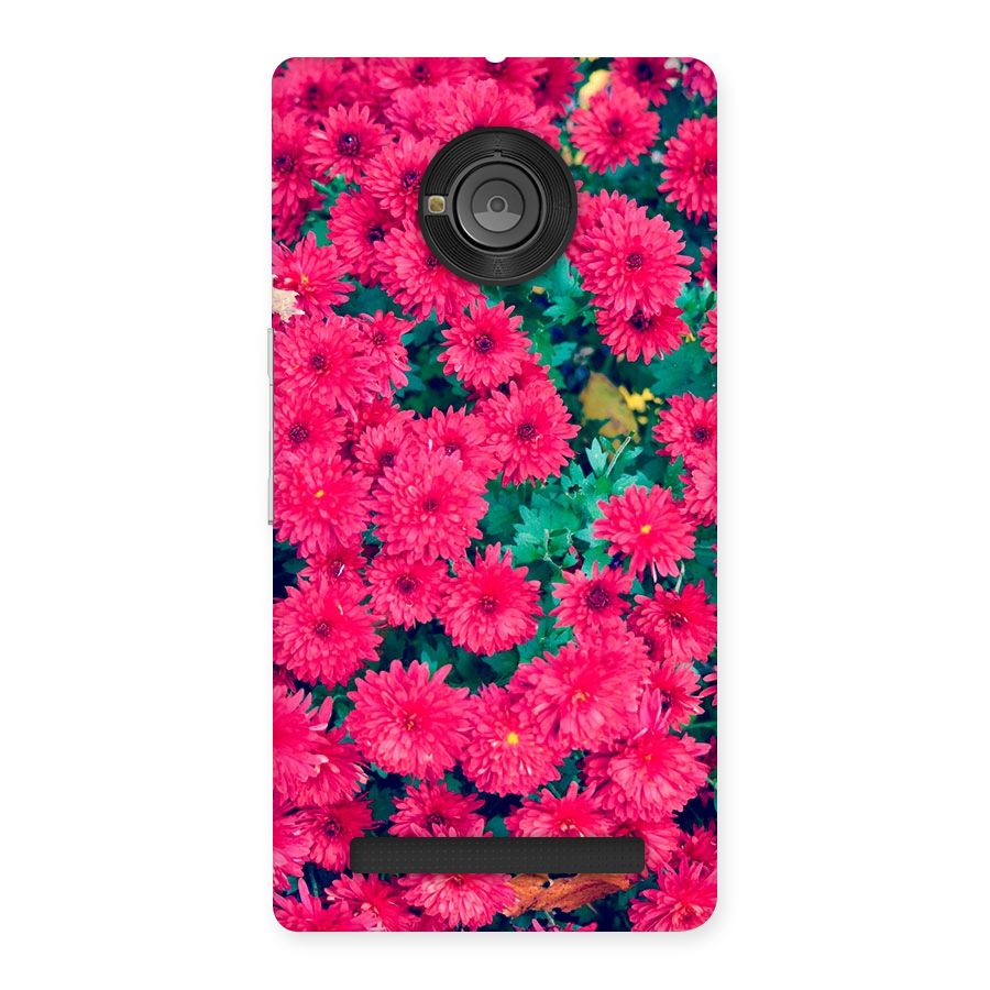 Pink Flowers Back Case for Yu Yuphoria