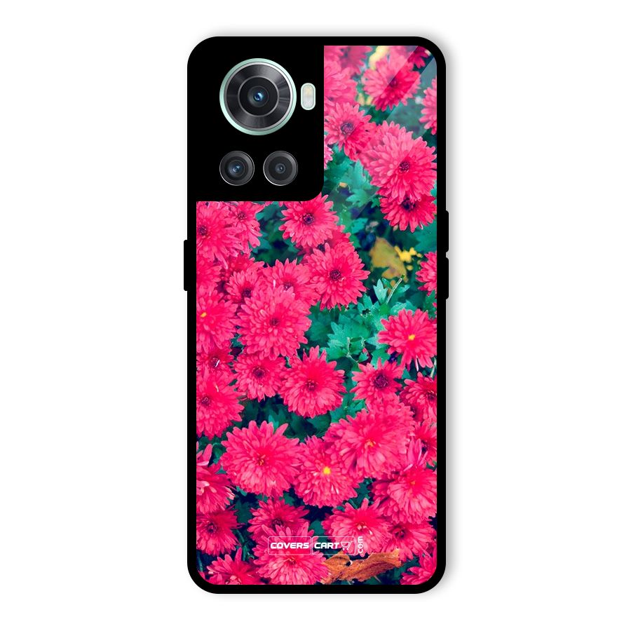 Pink Flowers Glass Back Case for OnePlus 10R