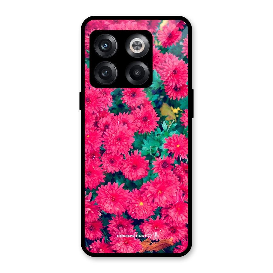 Pink Flowers Glass Back Case for OnePlus 10T