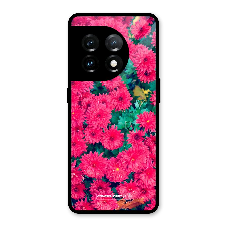 Pink Flowers Glass Back Case for OnePlus 11