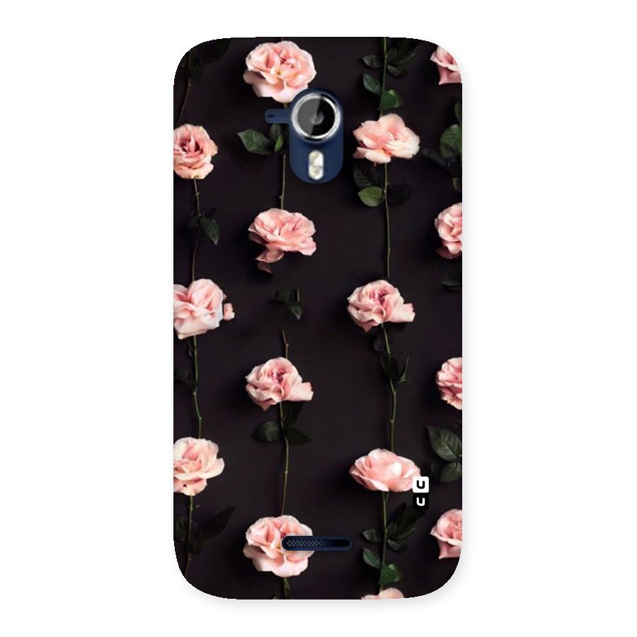 Pink Roses Back Case for Micromax Canvas Magnus A117