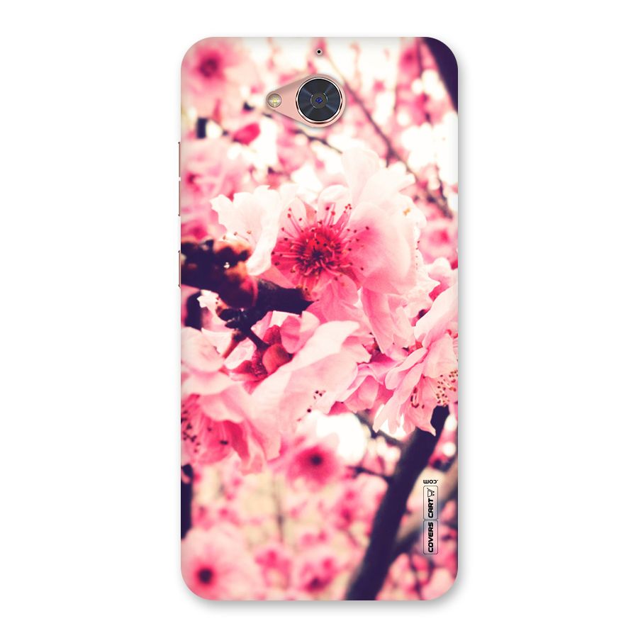 Pretty Pink Flowers Back Case for Gionee S6 Pro