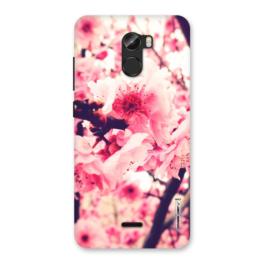 Pretty Pink Flowers Back Case for Gionee X1