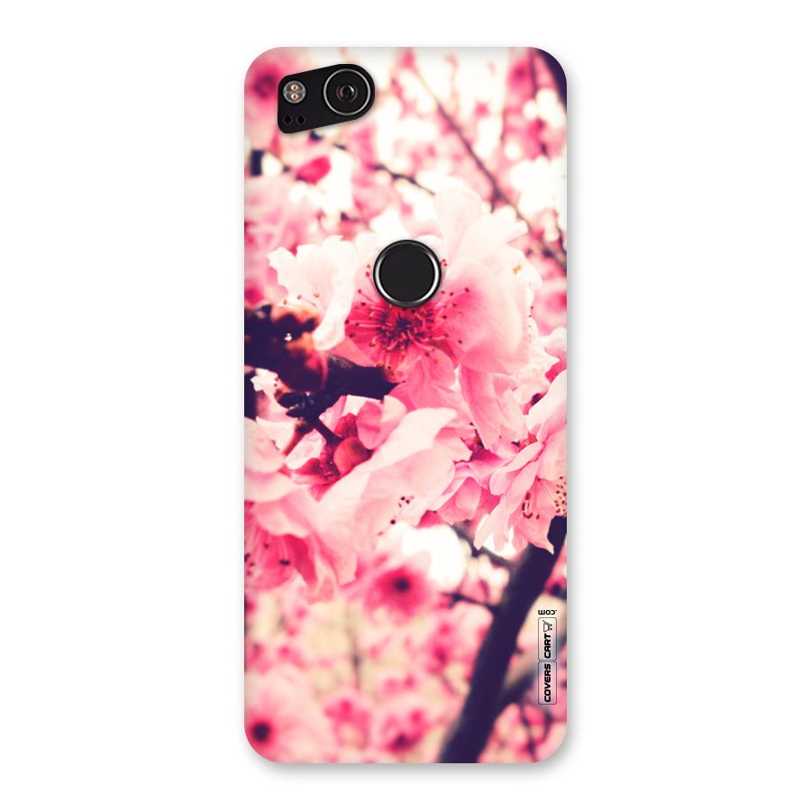 Pretty Pink Flowers Back Case for Google Pixel 2
