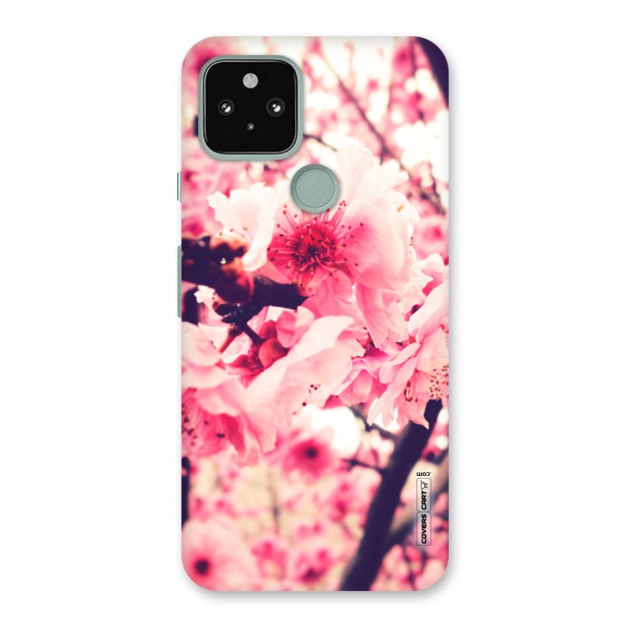 Pretty Pink Flowers Back Case for Google Pixel 5
