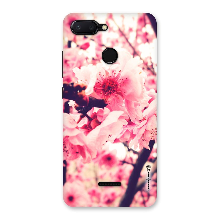 Pretty Pink Flowers Back Case for Redmi 6