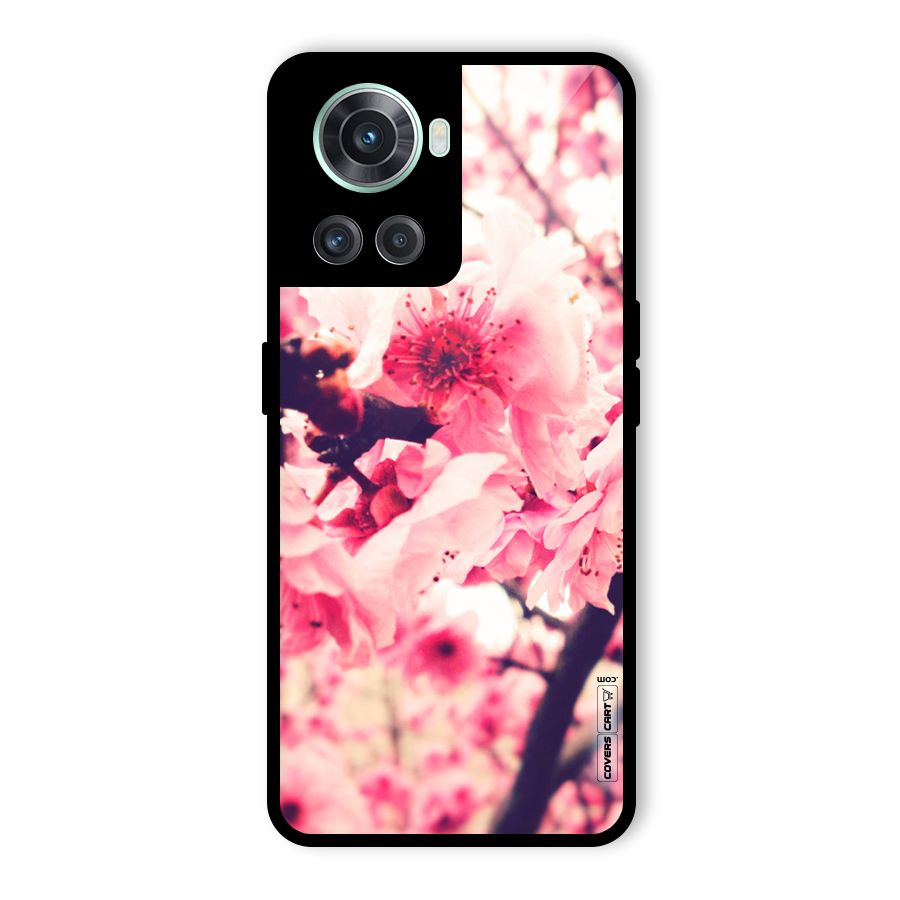 Pretty Pink Flowers Glass Back Case for OnePlus 10R