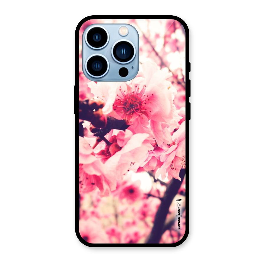 Pretty Pink Flowers Glass Back Case for iPhone 13 Pro