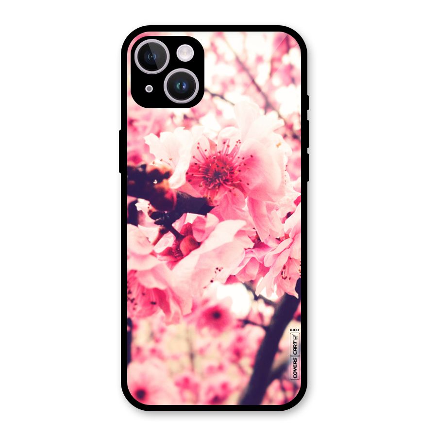 Pretty Pink Flowers Glass Back Case for iPhone 14 Plus