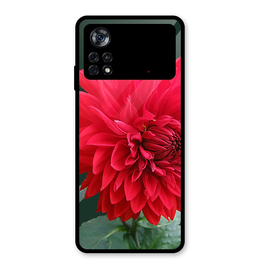 RedFlower. Glass Back Case for Poco X4 Pro 5G