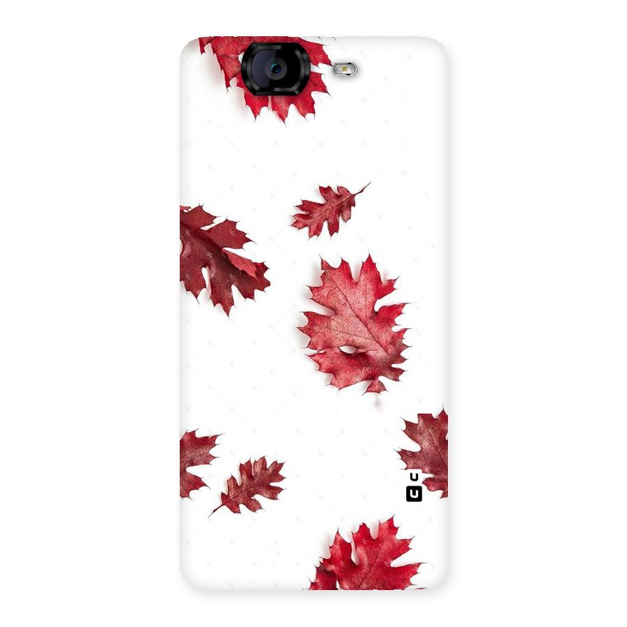 Red Appealing Autumn Leaves Back Case for Canvas Knight A350