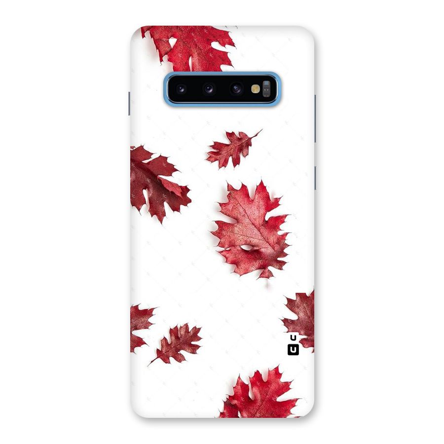 Red Appealing Autumn Leaves Back Case for Galaxy S10 Plus