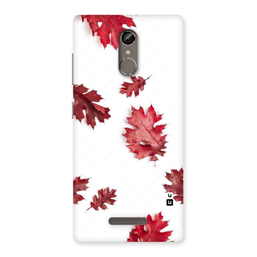 Red Appealing Autumn Leaves Back Case for Gionee S6s