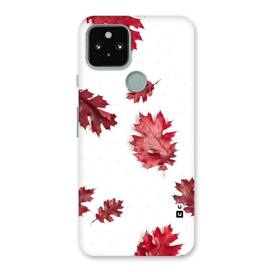 Red Appealing Autumn Leaves Back Case for Google Pixel 5