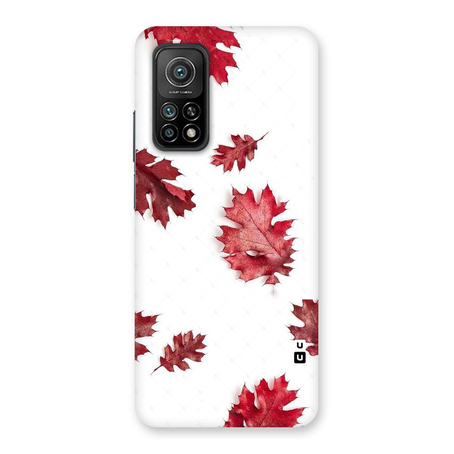 Red Appealing Autumn Leaves Back Case for Mi 10T Pro 5G