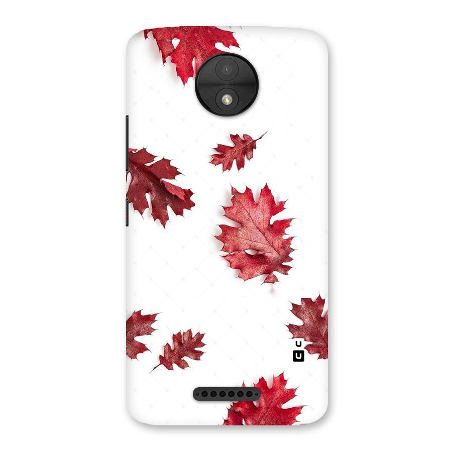 Red Appealing Autumn Leaves Back Case for Moto C