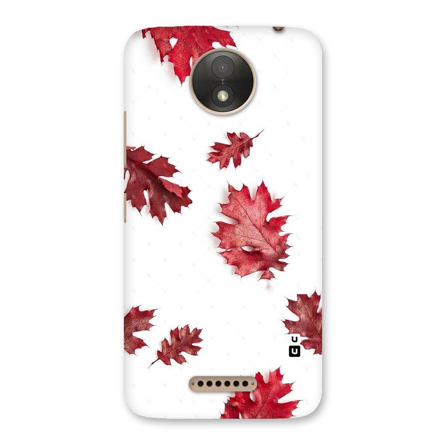 Red Appealing Autumn Leaves Back Case for Moto C Plus