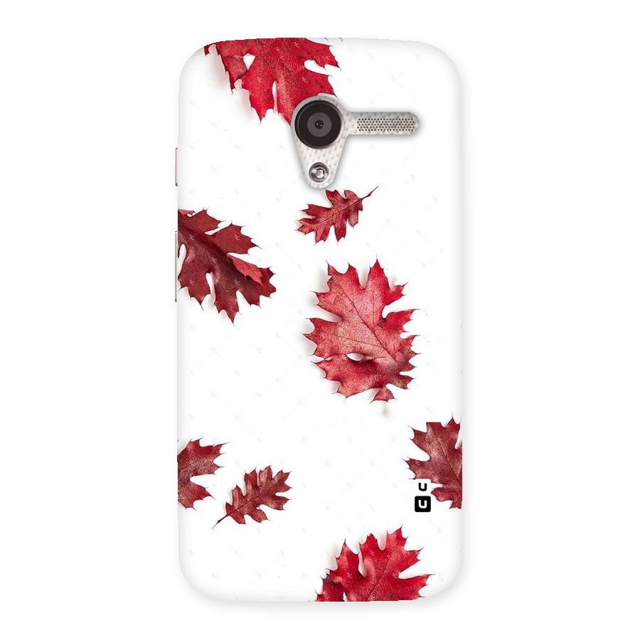 Red Appealing Autumn Leaves Back Case for Moto X