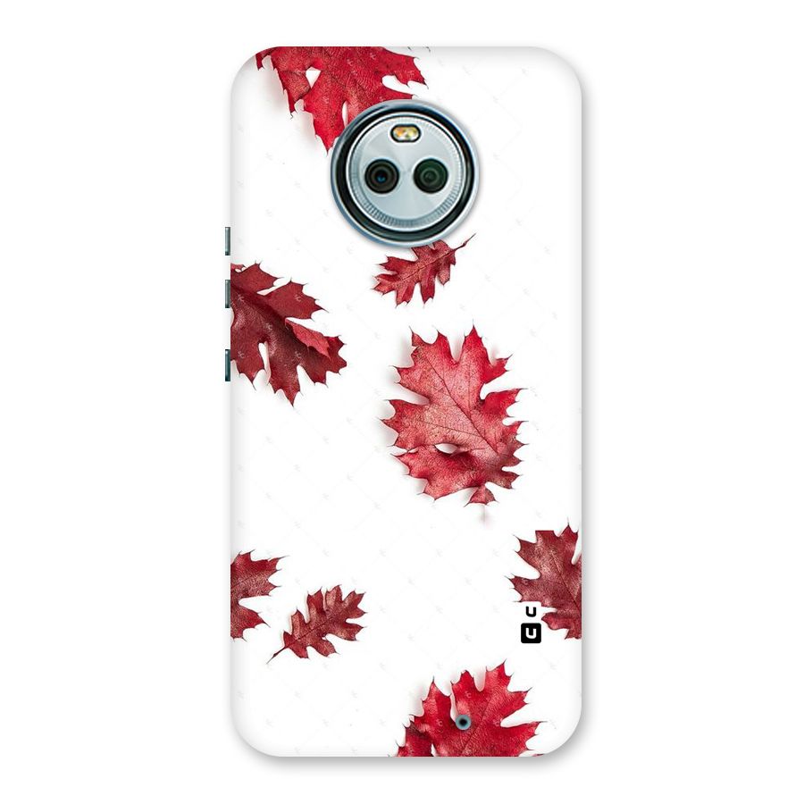 Red Appealing Autumn Leaves Back Case for Moto X4