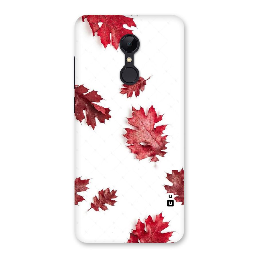 Red Appealing Autumn Leaves Back Case for Redmi 5