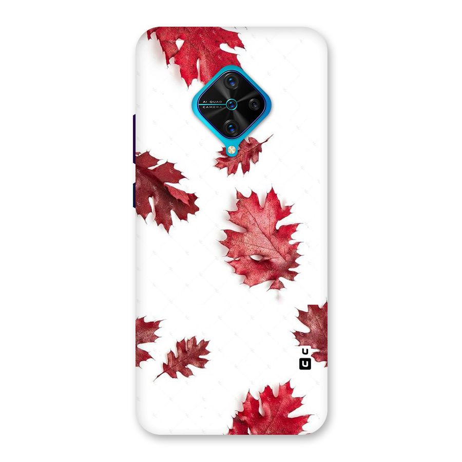 Red Appealing Autumn Leaves Back Case for Vivo S1 Pro
