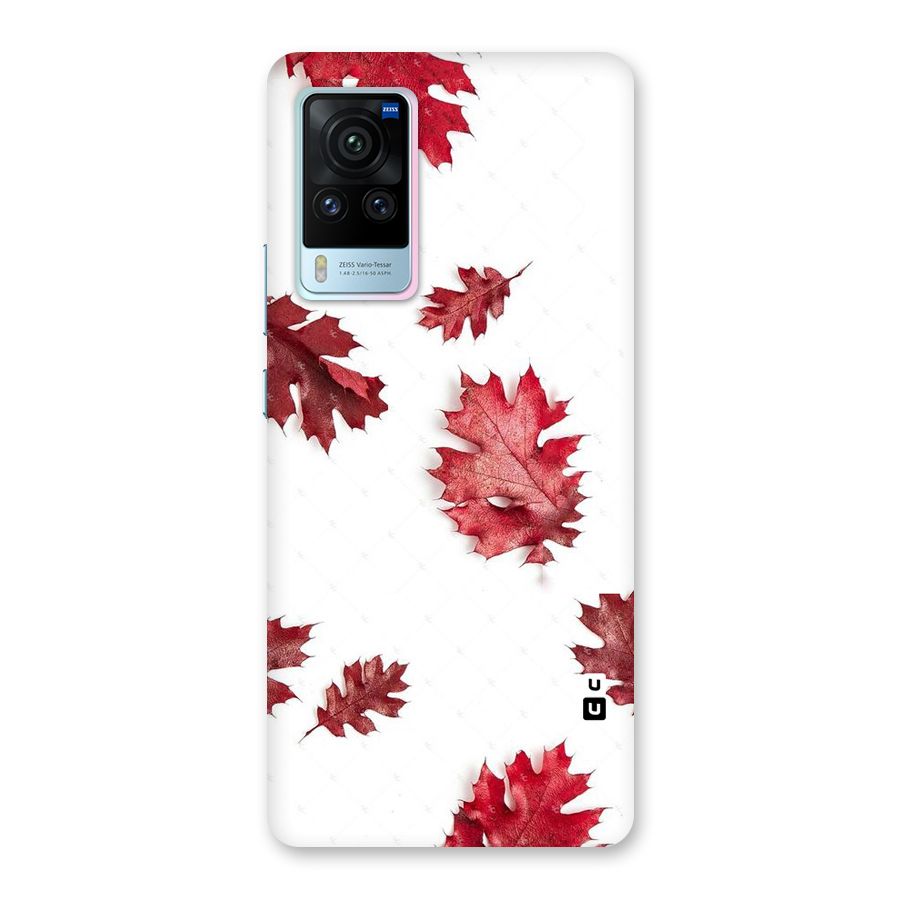 Red Appealing Autumn Leaves Back Case for Vivo X60 Pro