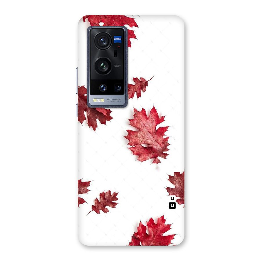 Red Appealing Autumn Leaves Back Case for Vivo X60 Pro Plus