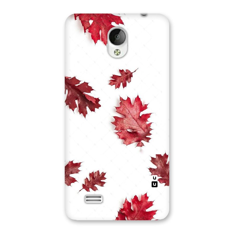 Red Appealing Autumn Leaves Back Case for Vivo Y21