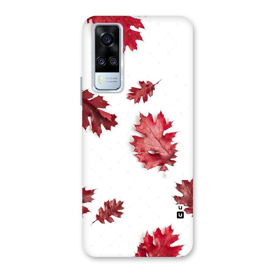 Red Appealing Autumn Leaves Back Case for Vivo Y31