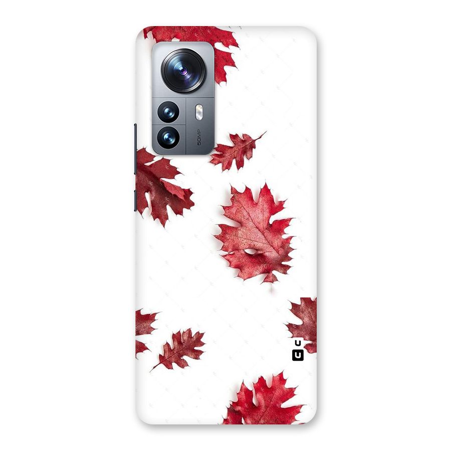 Red Appealing Autumn Leaves Back Case for Xiaomi 12 Pro