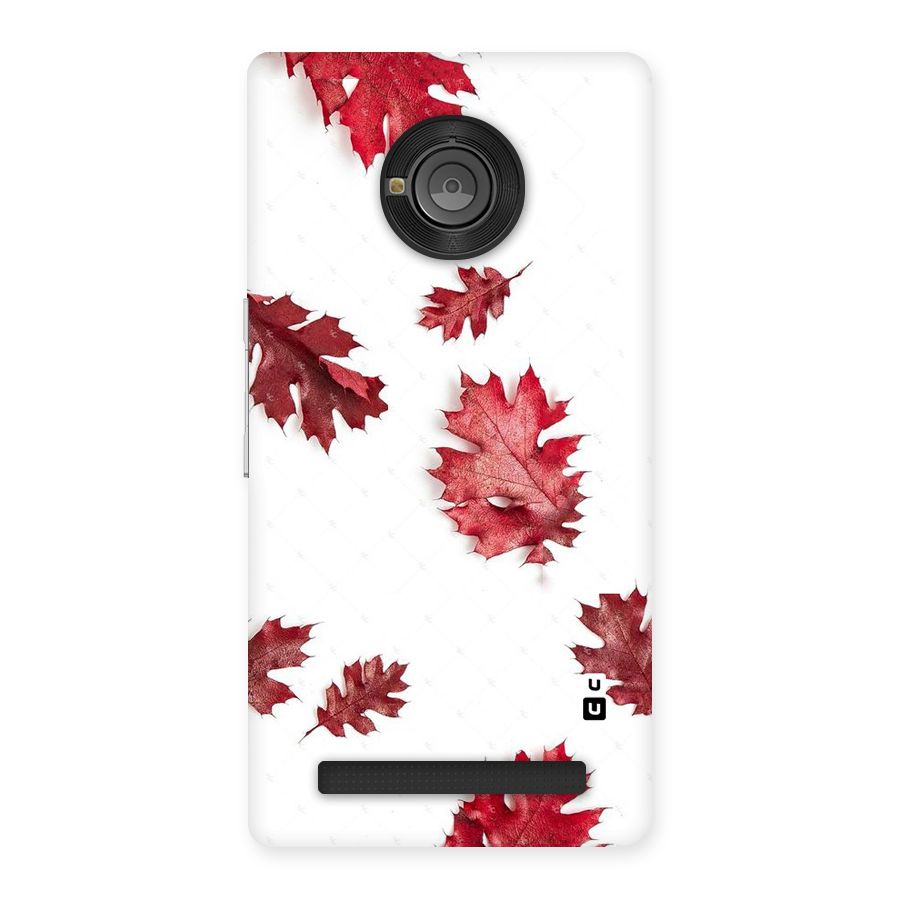 Red Appealing Autumn Leaves Back Case for Yu Yunique