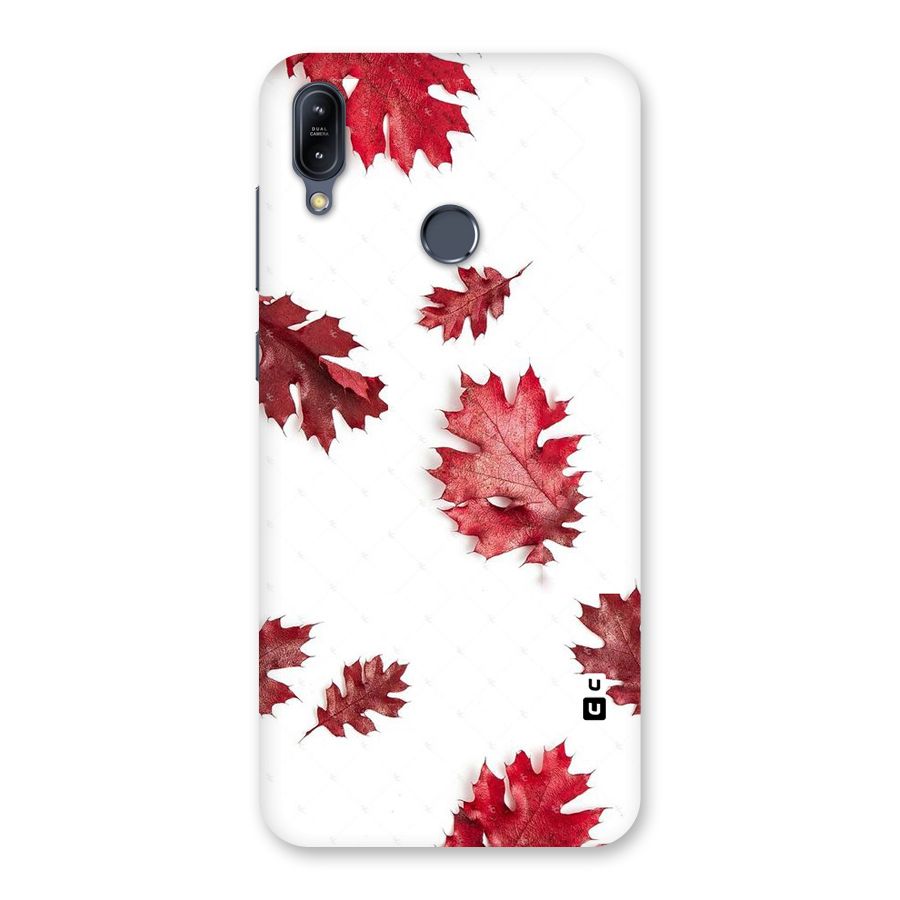 Red Appealing Autumn Leaves Back Case for Zenfone Max M2