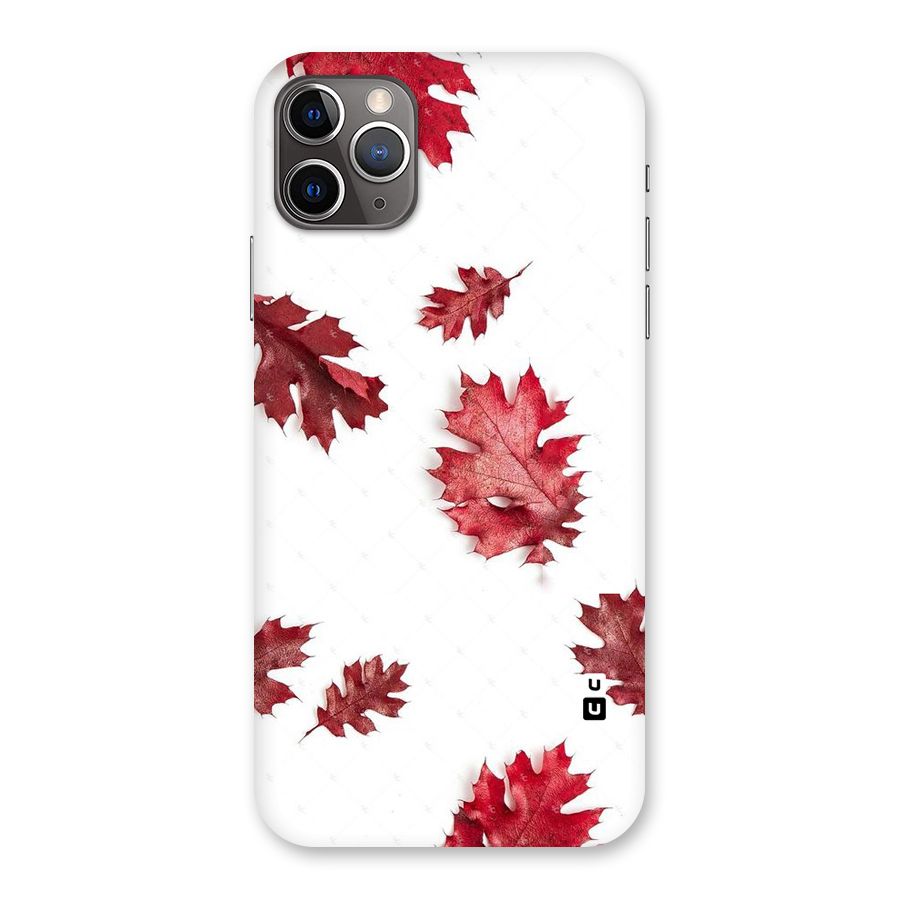 Red Appealing Autumn Leaves Back Case for iPhone 11 Pro Max