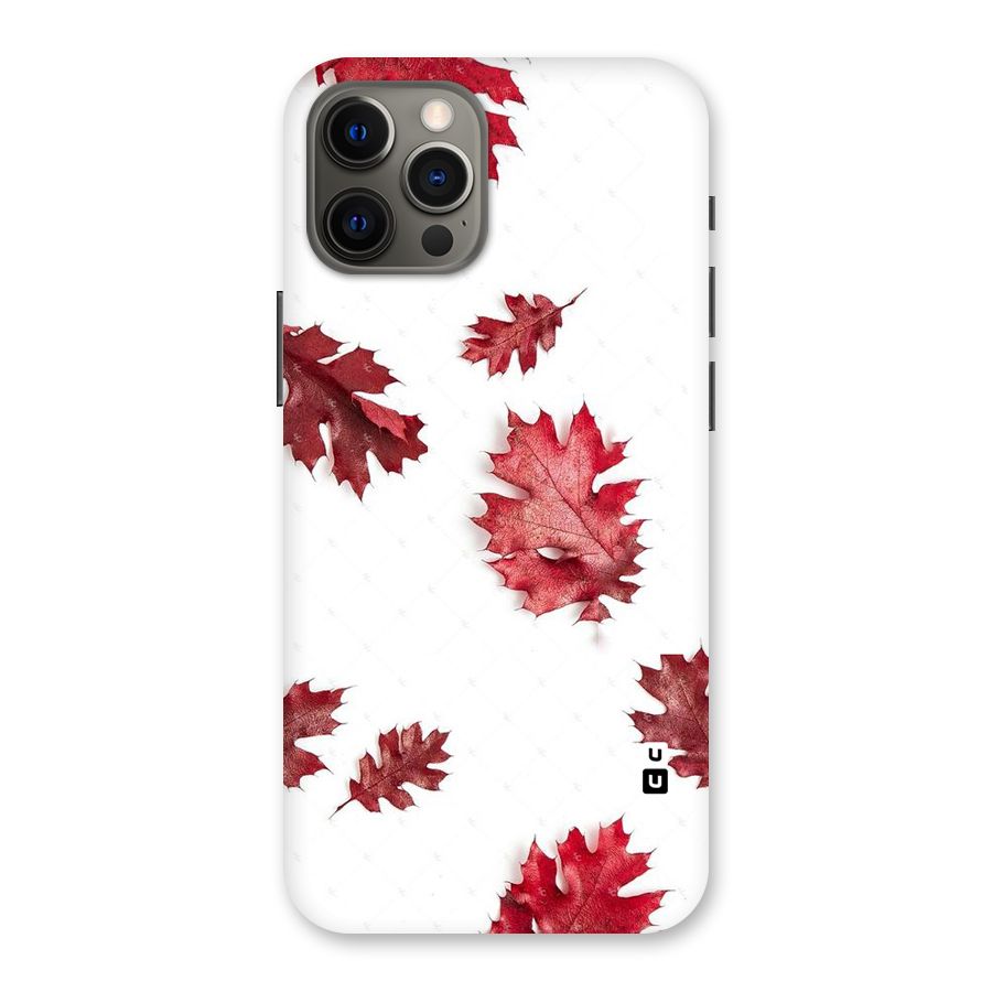 Red Appealing Autumn Leaves Back Case for iPhone 12 Pro Max