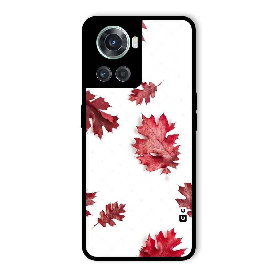 Red Appealing Autumn Leaves Glass Back Case for OnePlus 10R