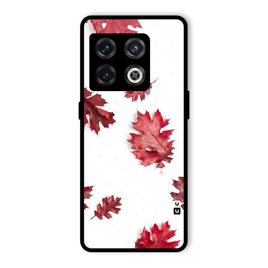 Red Appealing Autumn Leaves Glass Back Case for OnePlus 10 Pro 5G