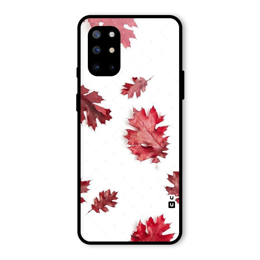 Red Appealing Autumn Leaves Glass Back Case for OnePlus 8T