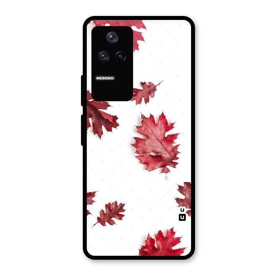 Red Appealing Autumn Leaves Glass Back Case for Poco F4 5G