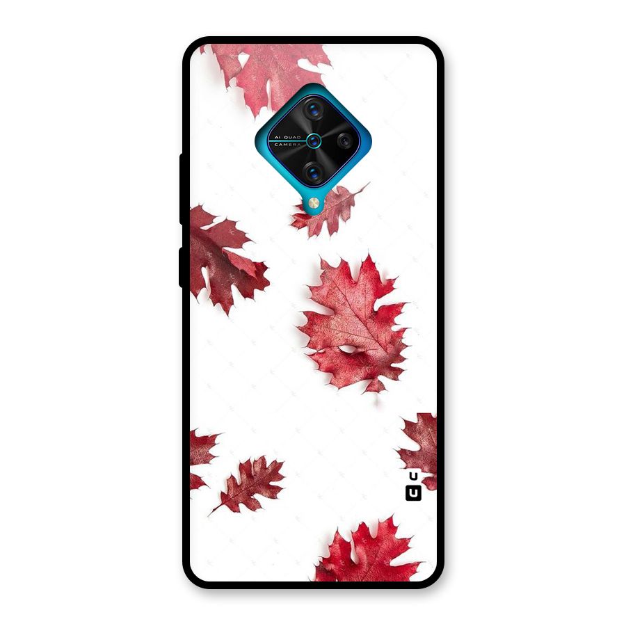 Red Appealing Autumn Leaves Glass Back Case for Vivo S1 Pro