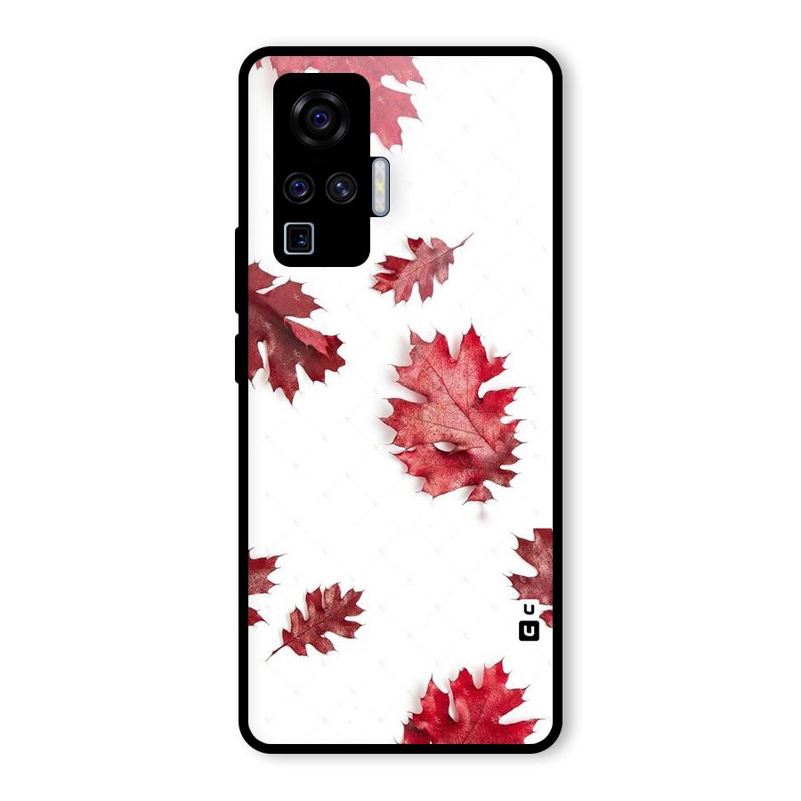 Red Appealing Autumn Leaves Glass Back Case for Vivo X50 Pro