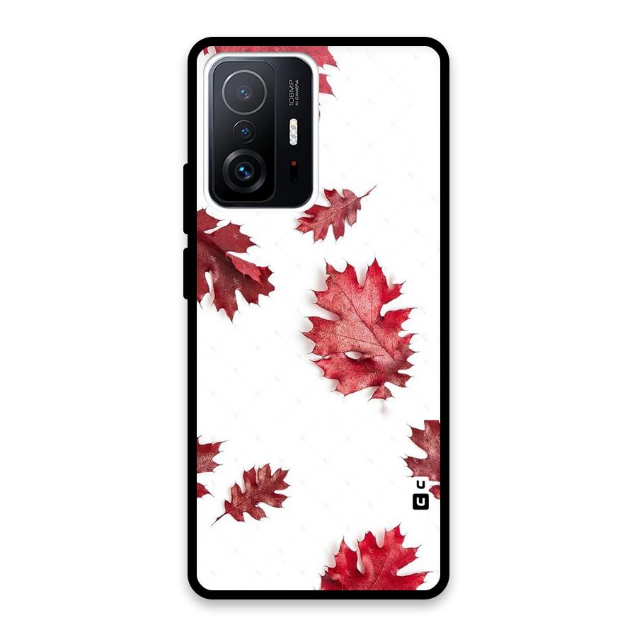 Red Appealing Autumn Leaves Glass Back Case for Xiaomi 11T Pro