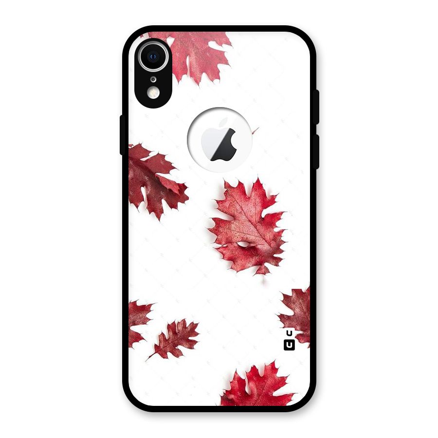 Red Appealing Autumn Leaves Glass Back Case for iPhone XR Logo Cut