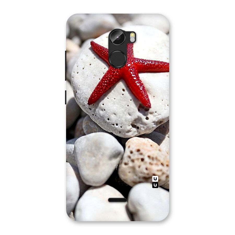 Red Star Fish Back Case for Gionee X1