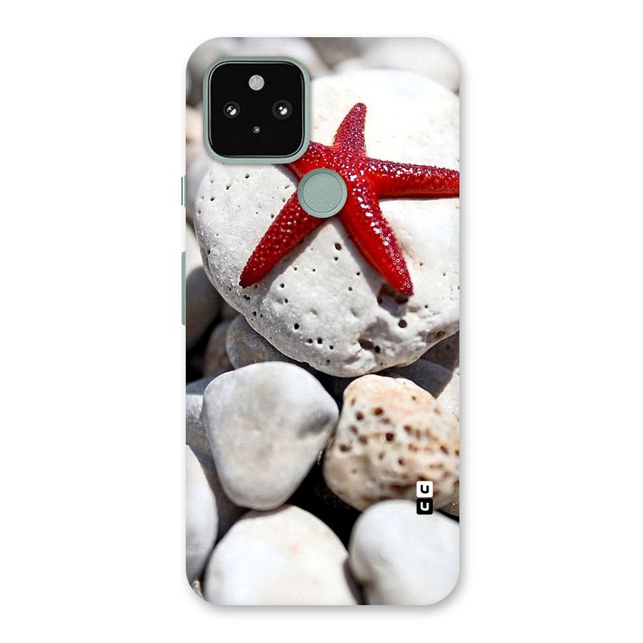 Red Star Fish Back Case for Google Pixel 5