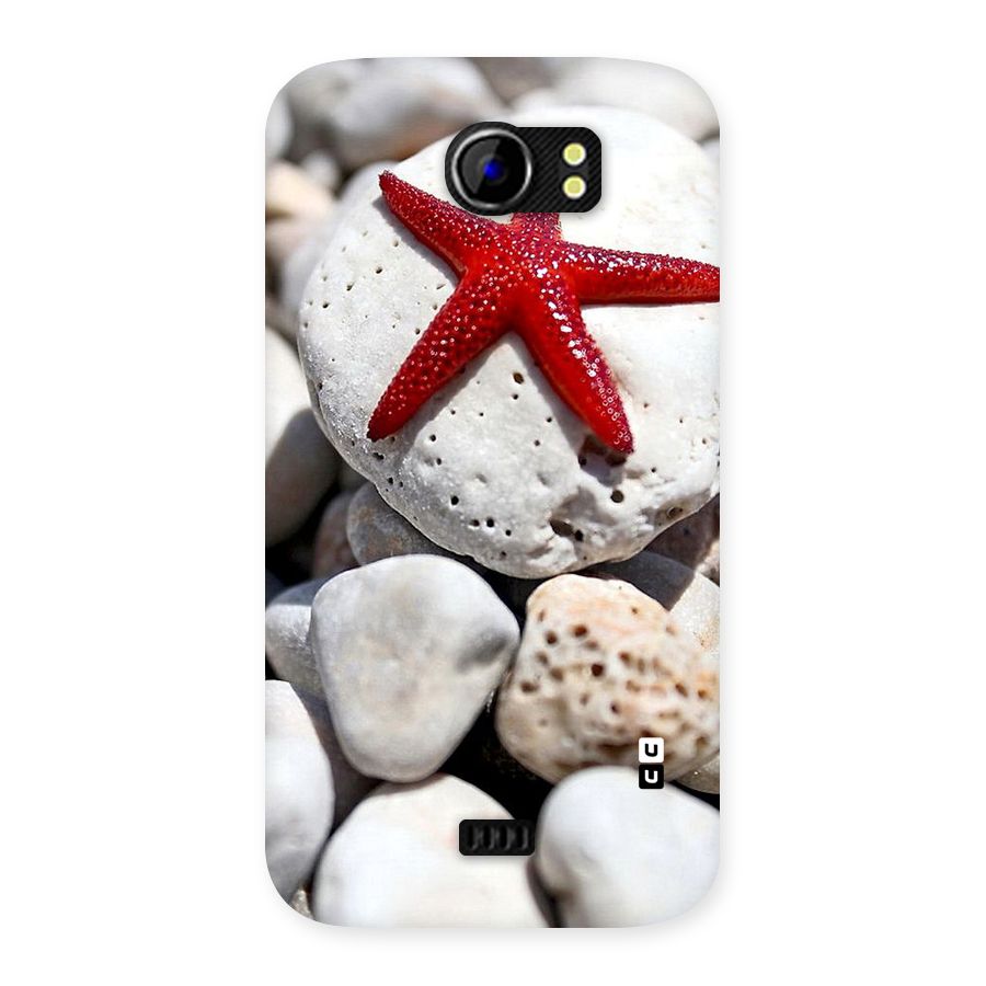 Red Star Fish Back Case for Micromax Canvas 2 A110