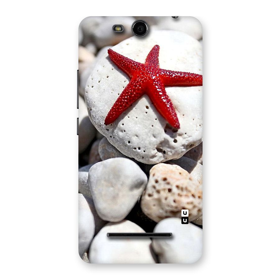 Red Star Fish Back Case for Micromax Canvas Juice 3 Q392