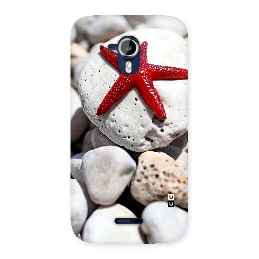 Red Star Fish Back Case for Micromax Canvas Magnus A117