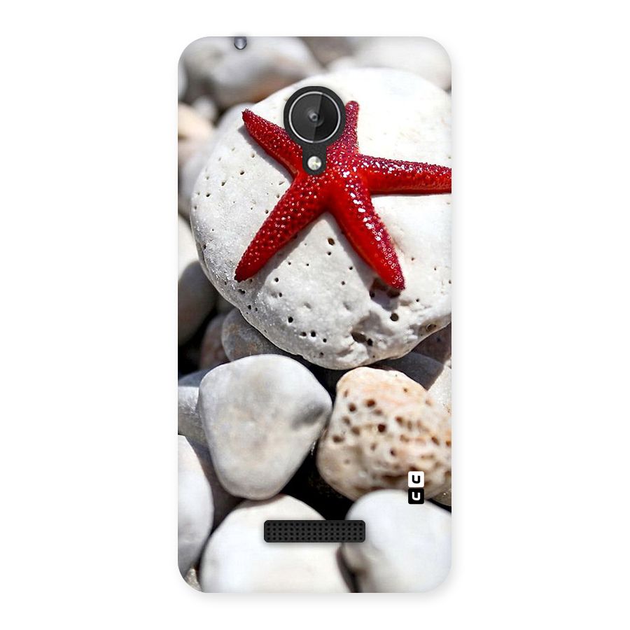 Red Star Fish Back Case for Micromax Canvas Spark Q380